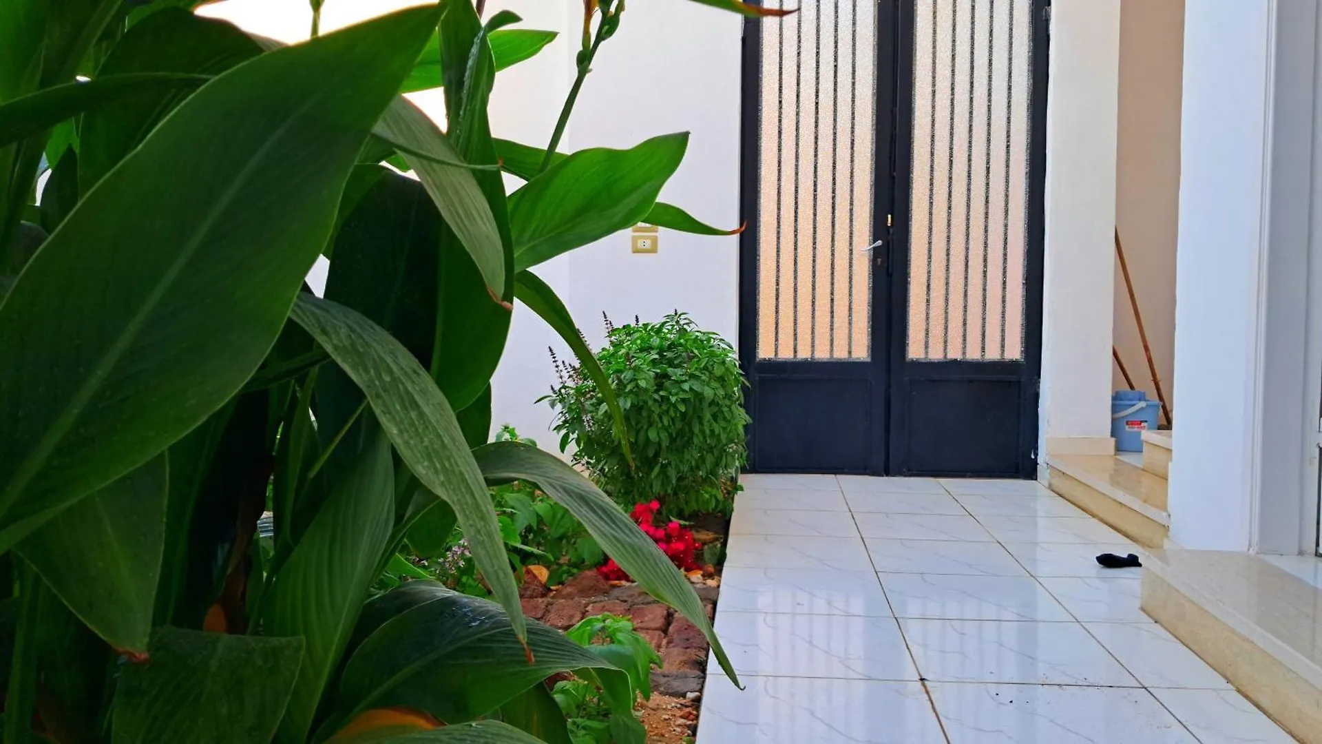 Moon Gate Apartment Luxor Egypt